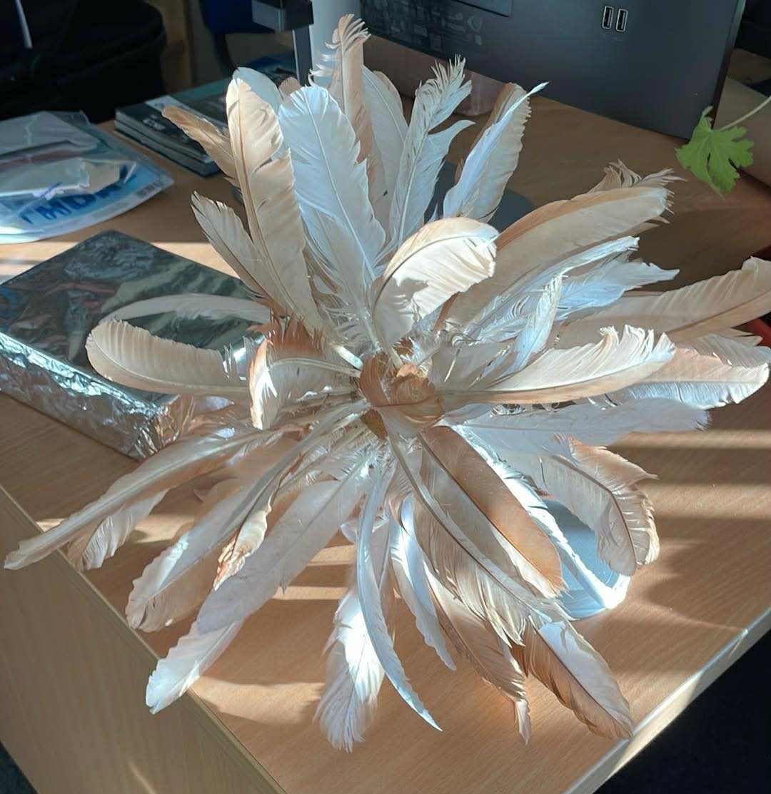 Highlighting the BA (Hons) Culture and Heritage Course at the UHI Orkney School Taster Day